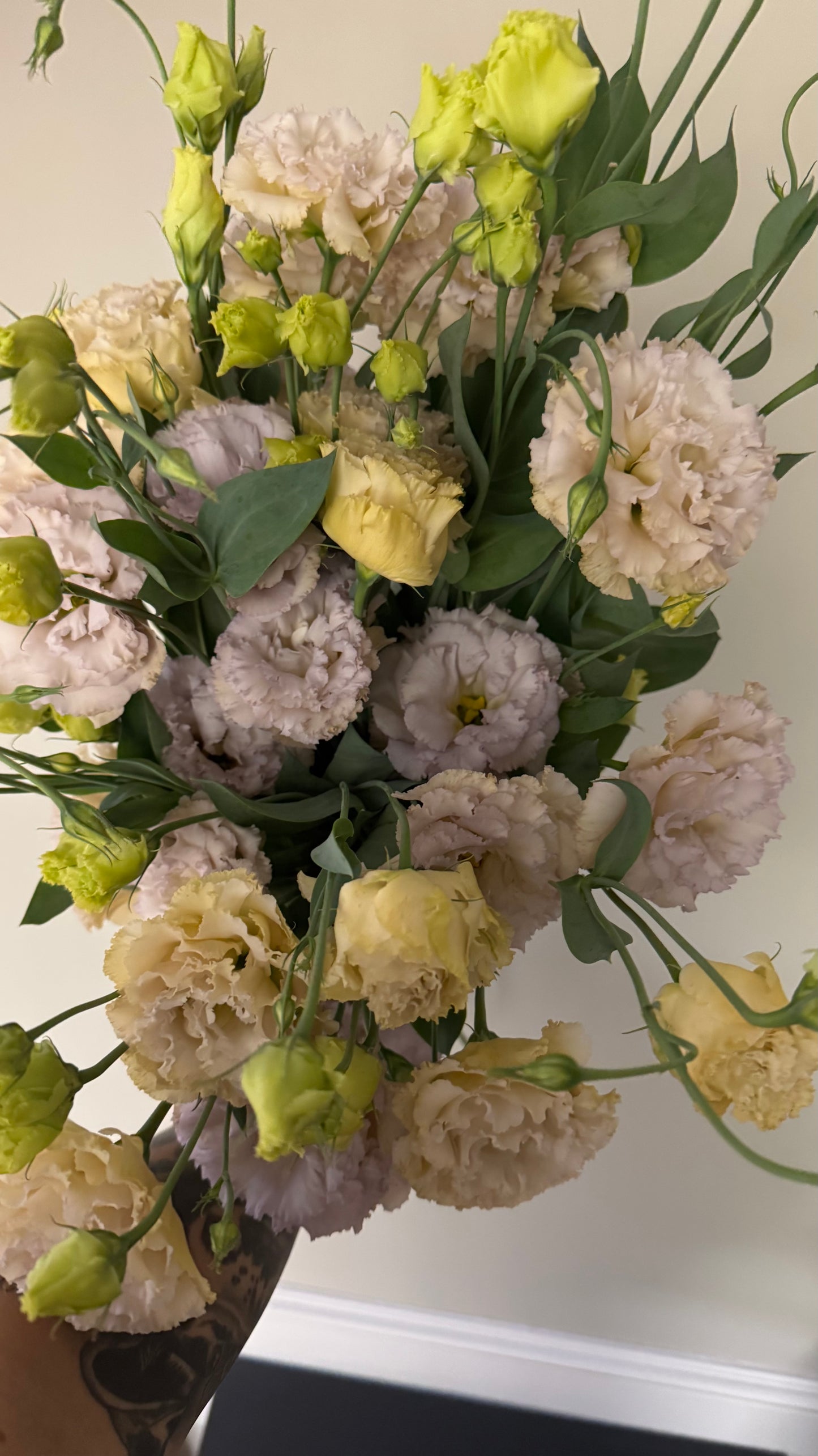 Lisianthus - Cheteau Blue - 5stm