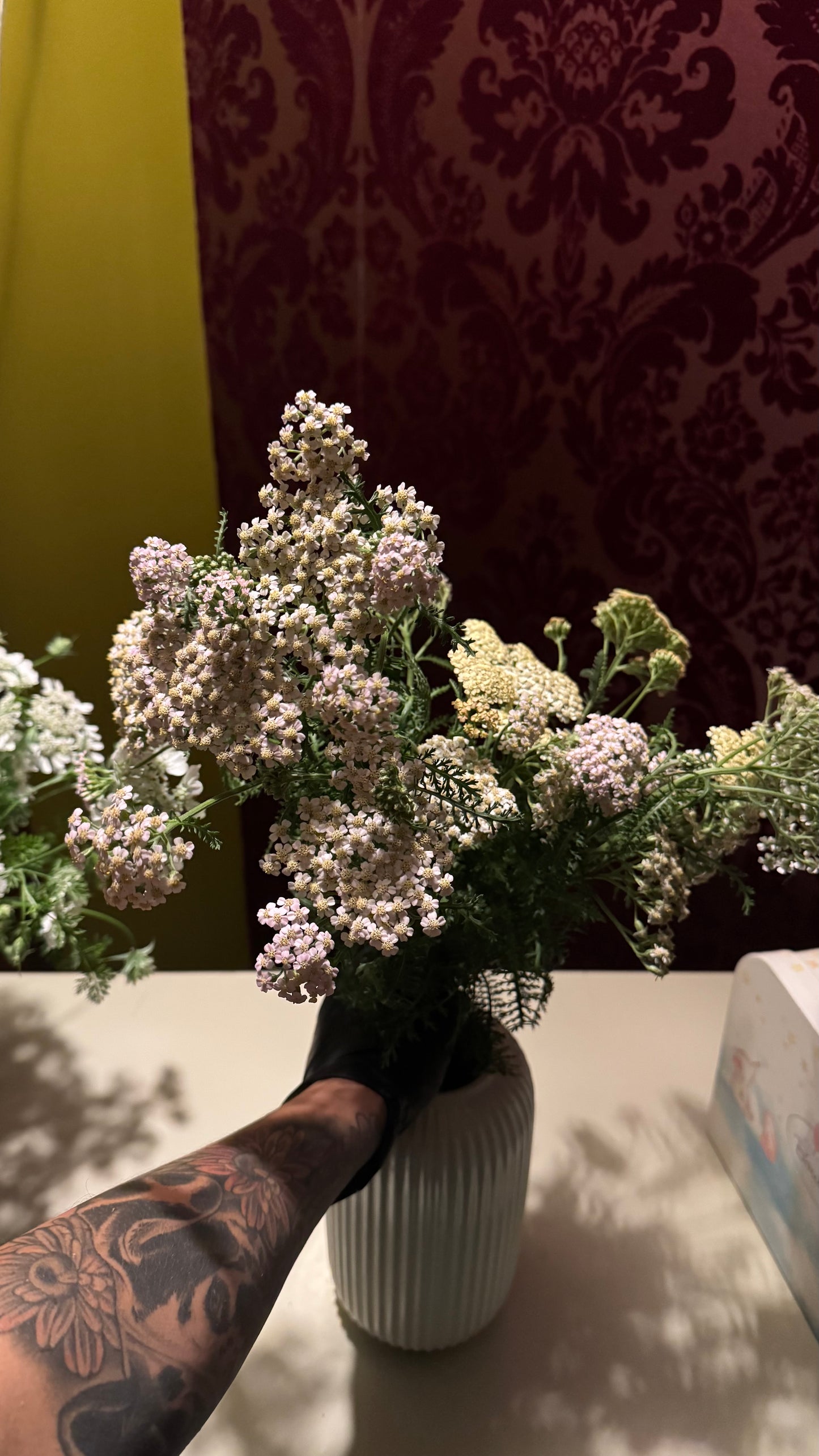 Yarrow