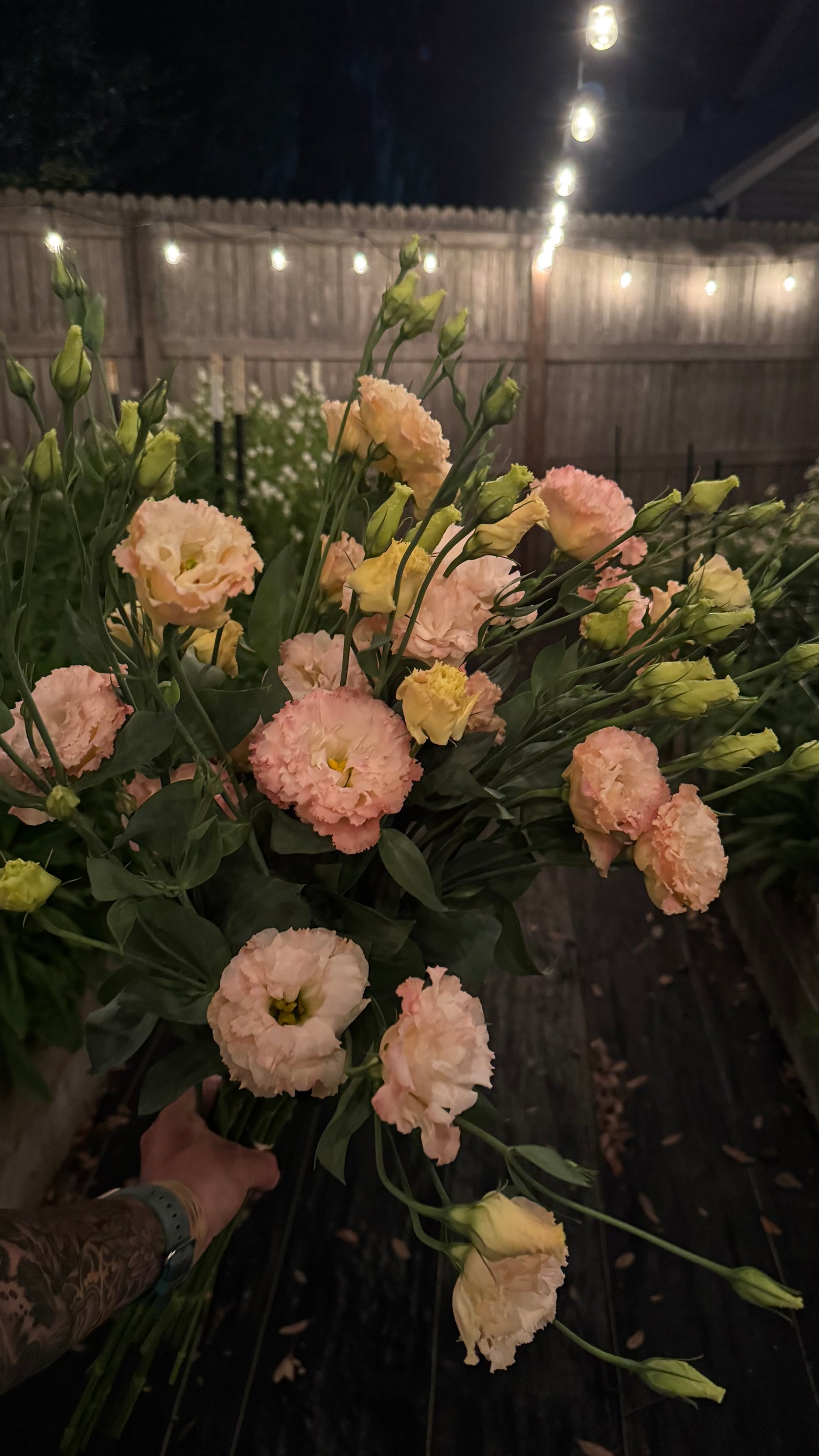 Lisianthus - Voyage Champagne -5stm