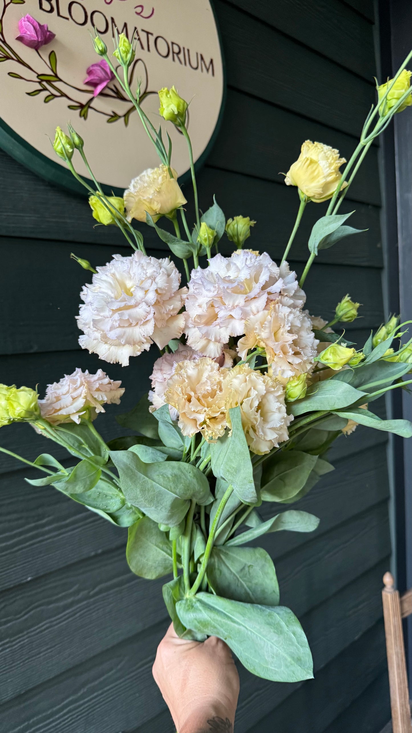 Lisianthus - Cheteau Blue - 5stm