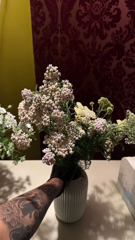 Yarrow