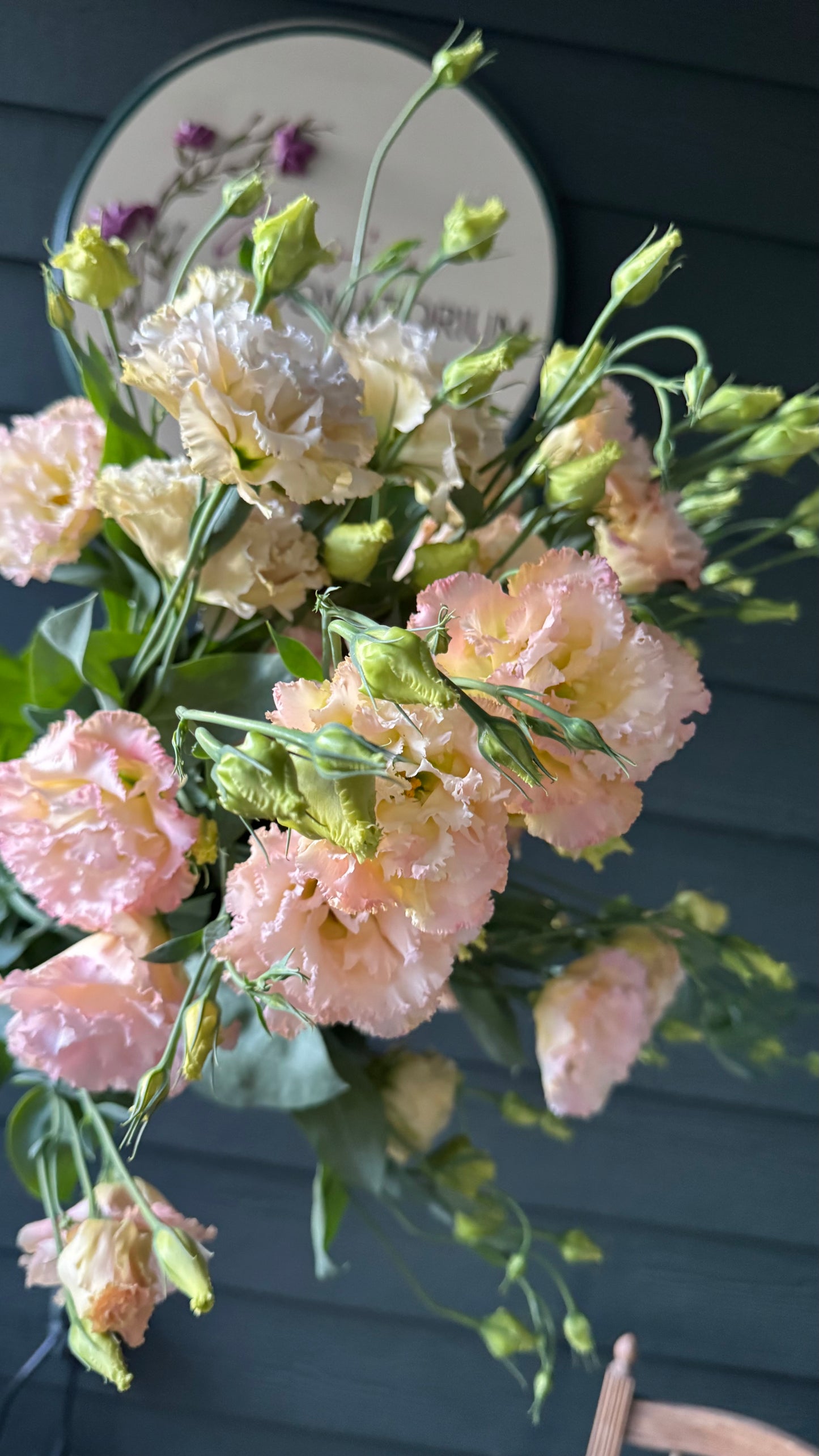 Lisianthus - Voyage Champagne -5stm