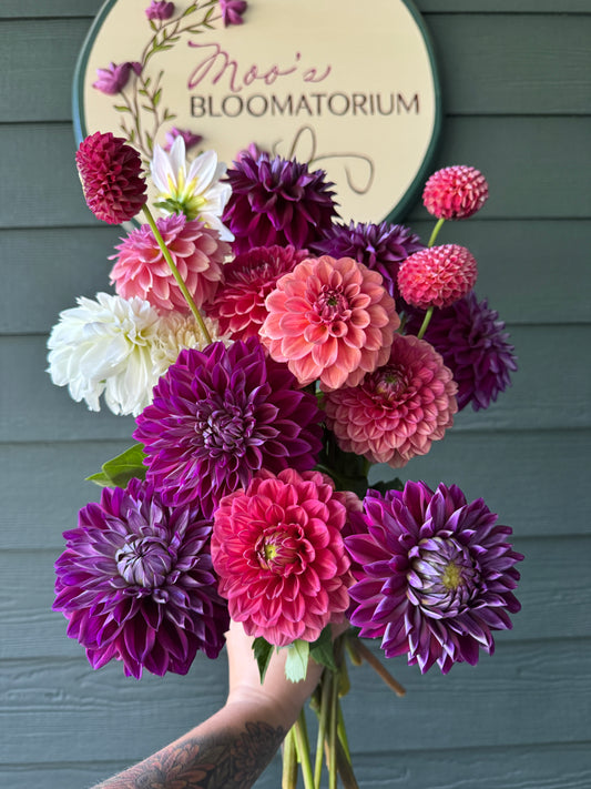 Dahlia Bunch